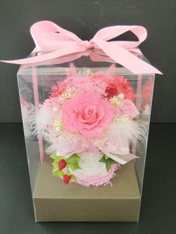 f:id:colorbless:20140619163829j:image