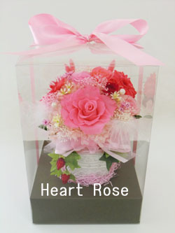 f:id:colorbless:20140619164308j:image