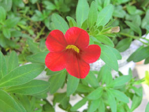 f:id:colorbless:20140622185422j:image