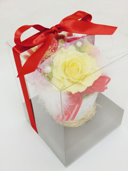 f:id:colorbless:20140622233533j:image