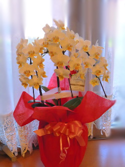 f:id:colorbless:20140728211833j:image