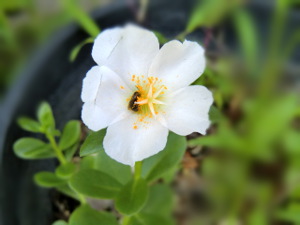 f:id:colorbless:20140826162031j:image