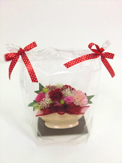 f:id:colorbless:20140828192900j:image