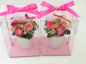 f:id:colorbless:20141024165019j:image