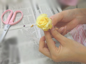 f:id:colorbless:20141025170717j:image