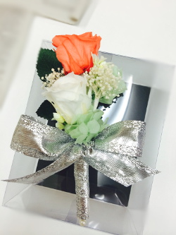 f:id:colorbless:20141026174128j:image