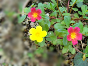 f:id:colorbless:20141028154537j:image