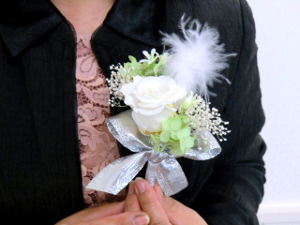 f:id:colorbless:20141029191541j:image