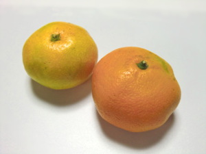 f:id:colorbless:20141104153356j:image