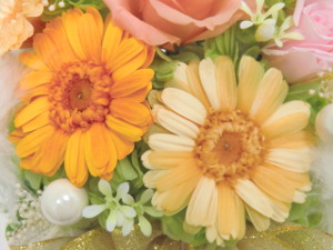 f:id:colorbless:20141108214936j:image