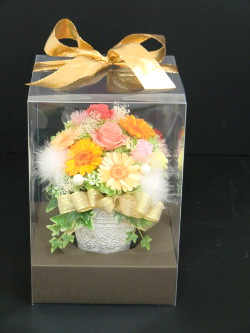 f:id:colorbless:20141108222641j:image