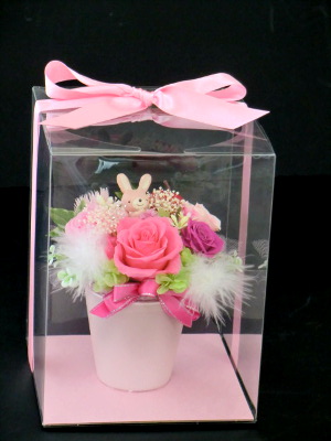 f:id:colorbless:20141122181312j:image f:id:colorbless:20141122181312j:image