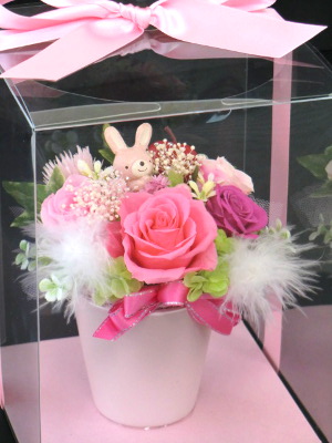 f:id:colorbless:20141122181329j:image f:id:colorbless:20141122181329j:image
