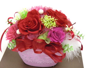 f:id:colorbless:20141124221506j:image
