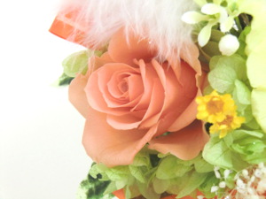 f:id:colorbless:20141127210658j:image