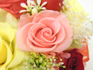 f:id:colorbless:20141127210726j:image