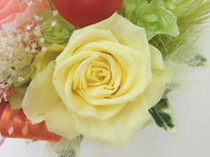 f:id:colorbless:20141127210745j:image