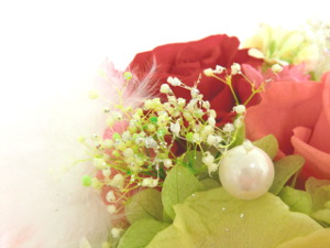 f:id:colorbless:20141127210827j:image