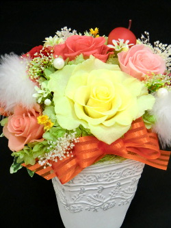 f:id:colorbless:20141127211228j:image