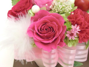 f:id:colorbless:20141228233124j:image