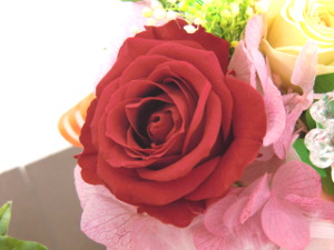 f:id:colorbless:20141228233207j:image