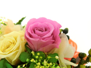 f:id:colorbless:20141228233224j:image