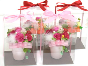 f:id:colorbless:20141229001904j:image
