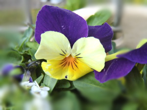 f:id:colorbless:20150115154704j:image