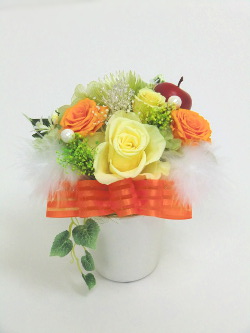 f:id:colorbless:20150128035522j:image