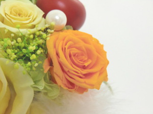 f:id:colorbless:20150128035610j:image