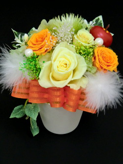 f:id:colorbless:20150128040303j:image