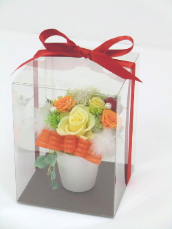 f:id:colorbless:20150128162111j:image