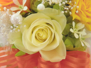 f:id:colorbless:20150222142436j:image