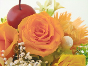 f:id:colorbless:20150222142455j:image