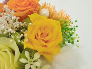 f:id:colorbless:20150222142501j:image