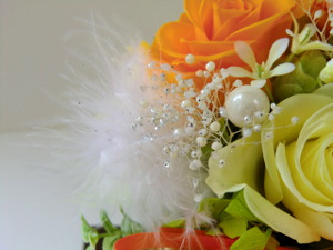 f:id:colorbless:20150222142536j:image