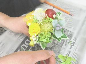 f:id:colorbless:20150227141330j:image f:id:colorbless:20150227141330j:image