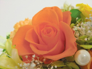 20150227214205