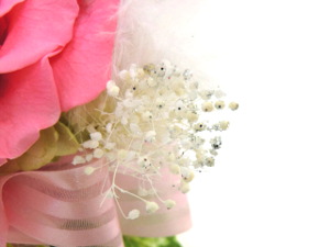 f:id:colorbless:20150309205943j:image