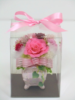 f:id:colorbless:20150309224524j:image