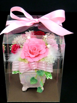 f:id:colorbless:20150309225015j:image