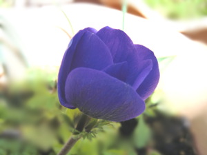 f:id:colorbless:20150310154010j:image
