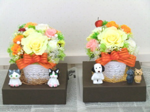 f:id:colorbless:20150311151809j:image