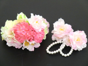 f:id:colorbless:20150314142916j:image