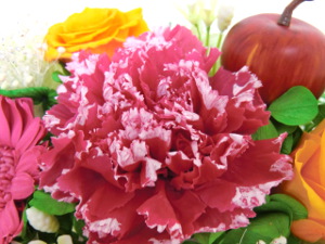 f:id:colorbless:20150314205042j:image