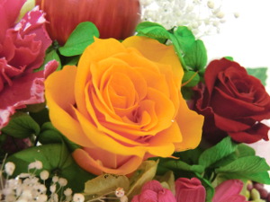 f:id:colorbless:20150314205115j:image