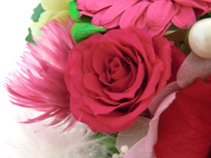 f:id:colorbless:20150314205141j:image