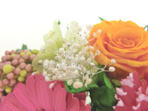f:id:colorbless:20150314205258j:image