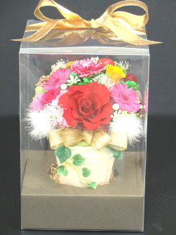 f:id:colorbless:20150314214112j:image