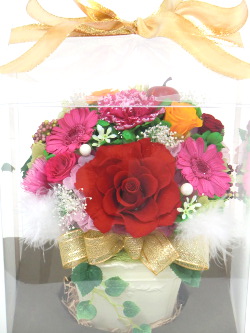 f:id:colorbless:20150314214810j:image